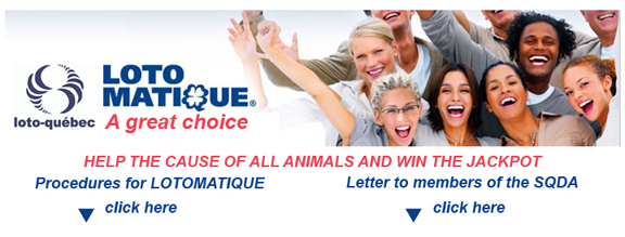 LOTOMATIQUE LOTO QUEBEC