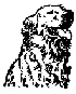 Logo Sans Collier