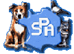 Logo SPA